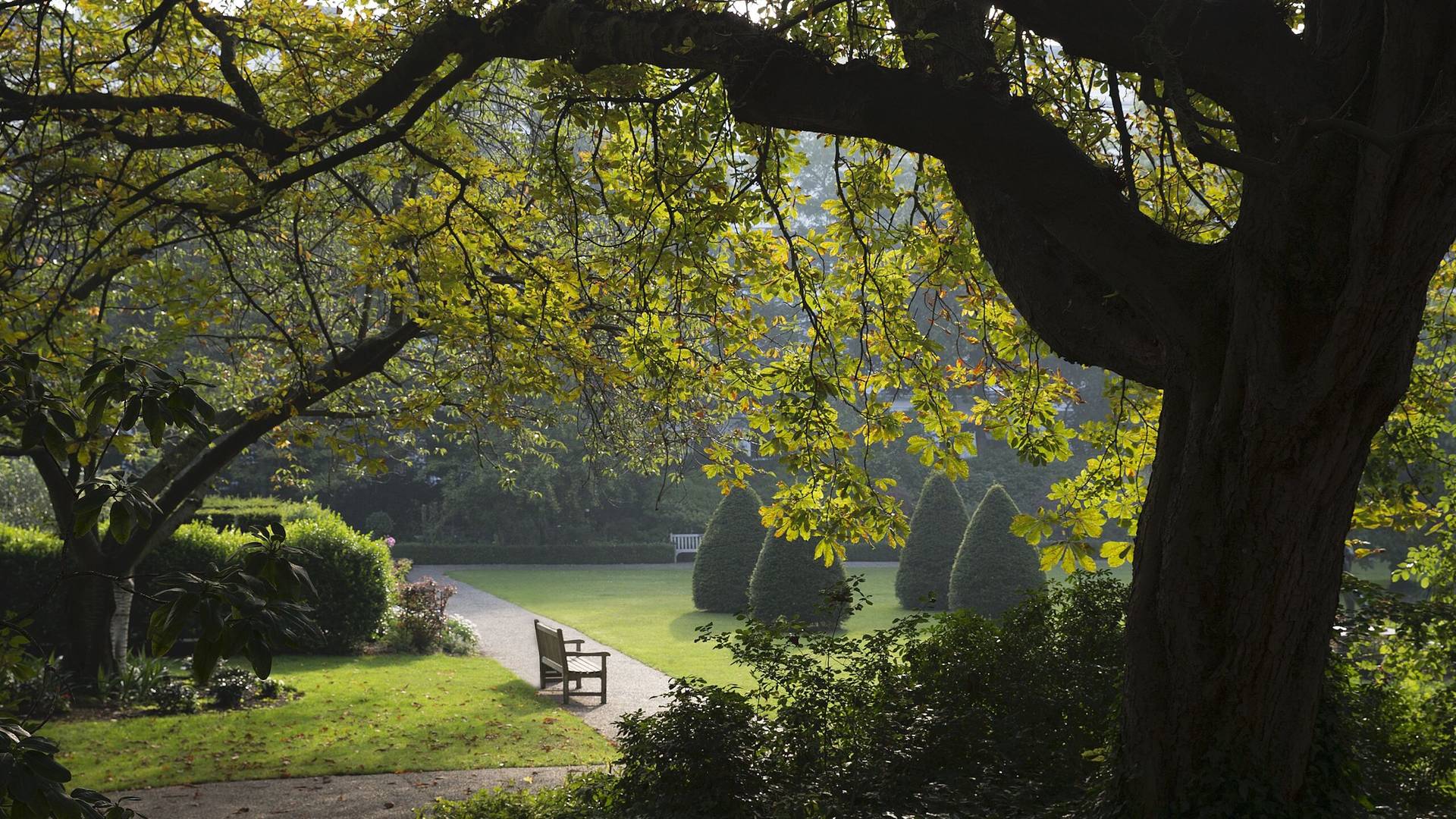 One of London's Royal Parks